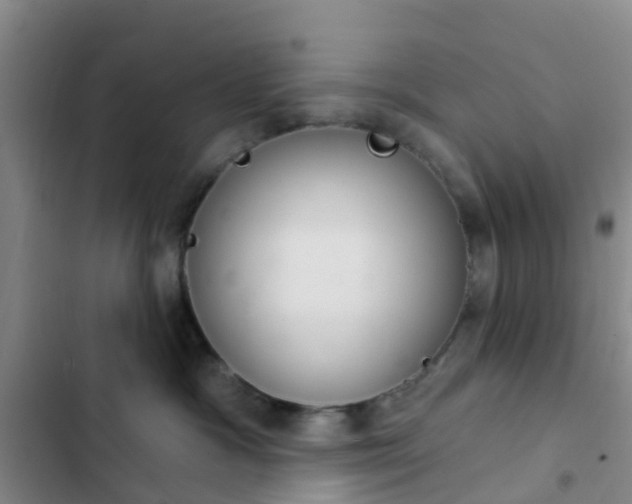 X0000102770333200808251058