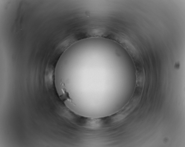 X0000102770334200808251058