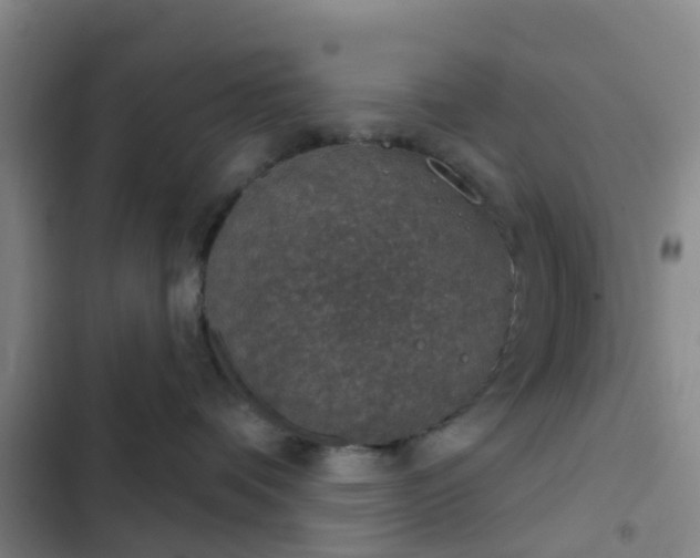 X0000102770336200808251058