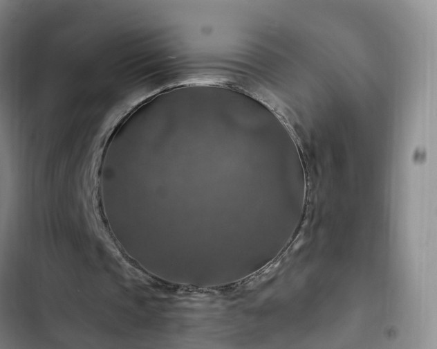 X0000102770337200808251057