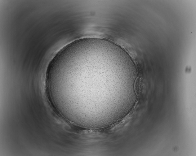 X0000102770338200808251057