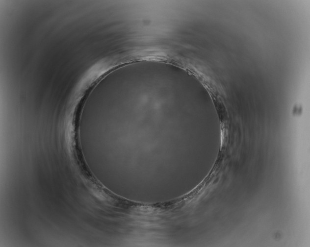 X0000102770339200808251057