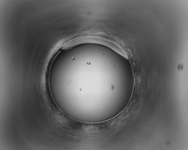 X0000102770340200808251057