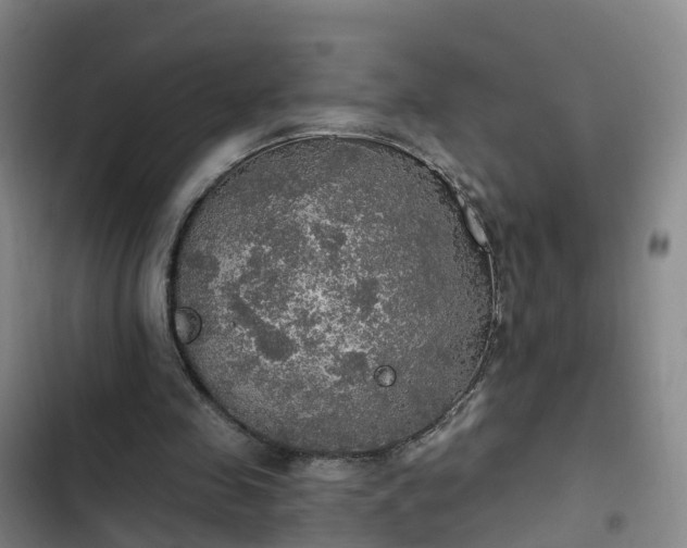 X0000102770341200808251057