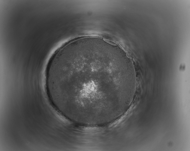 X0000102770342200808251057