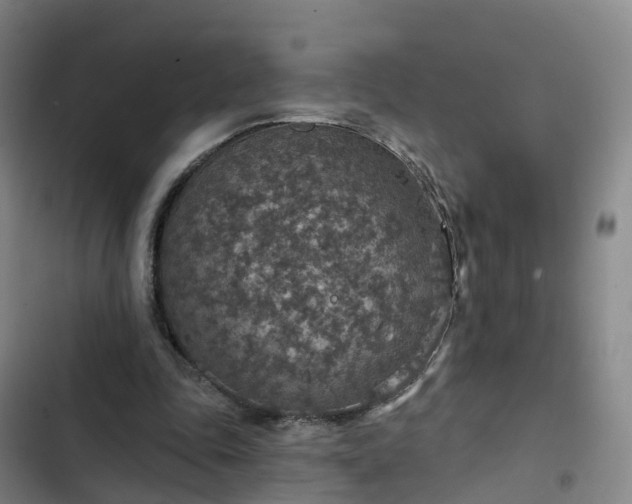 X0000102770343200808251057