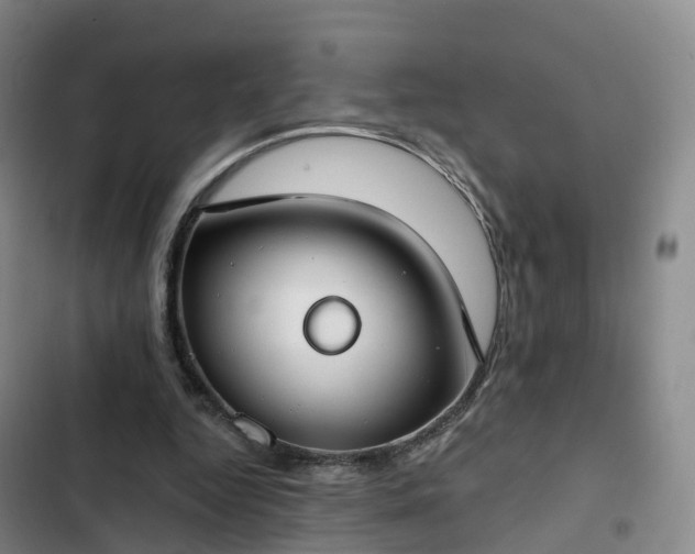 X0000102770344200808251057