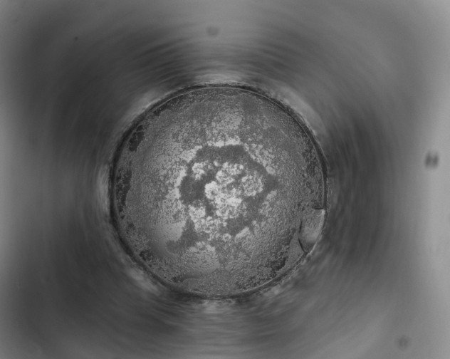 X0000102770345200808251057