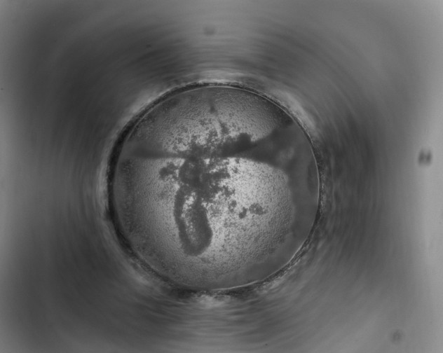 X0000102770346200808251057