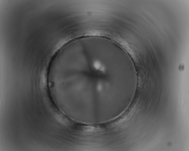 X0000102770347200808251057