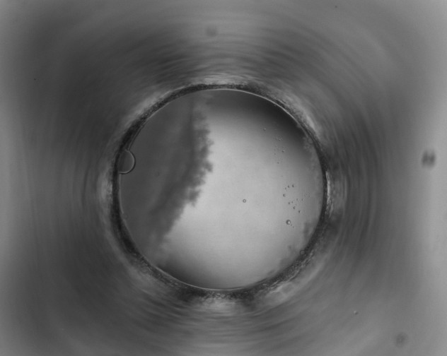 X0000102770348200808251057