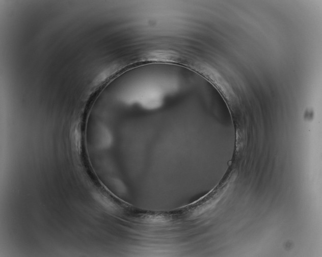 X0000102770349200808251057