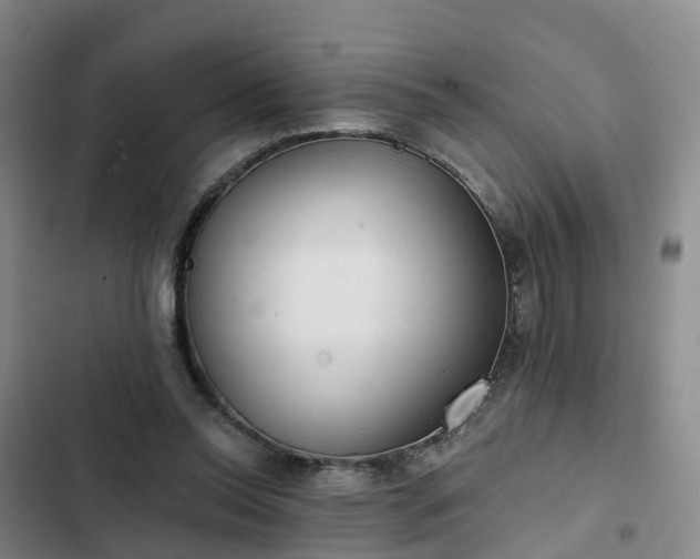 X0000102770350200808251057