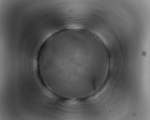 X0000102770351200808251057