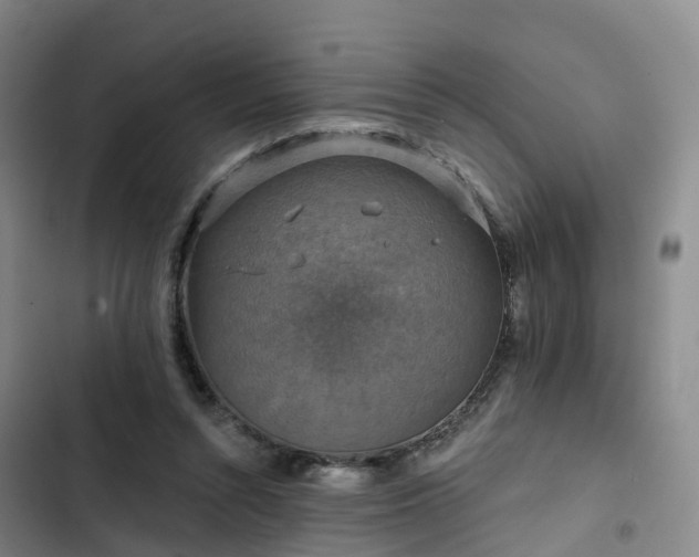 X0000102770352200808251057