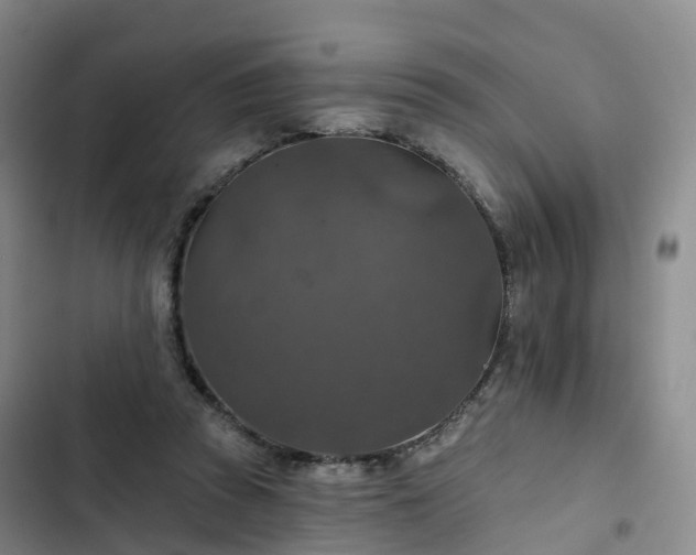 X0000102770353200808251058