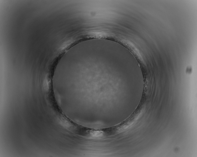 X0000102770355200808251058