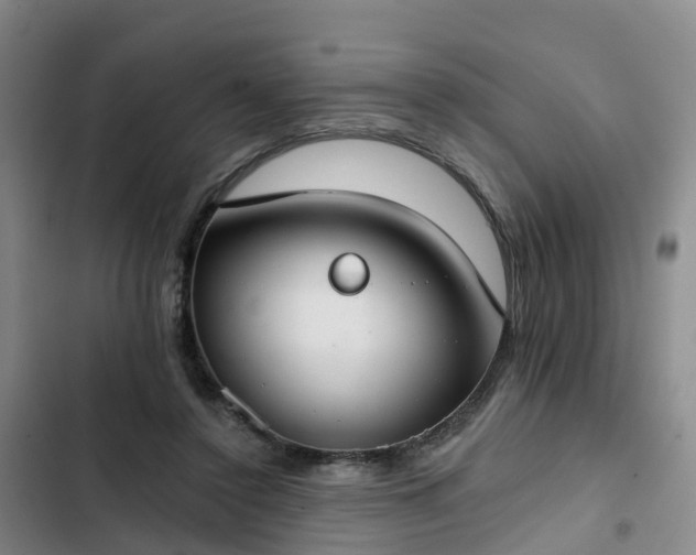 X0000102770356200808251058