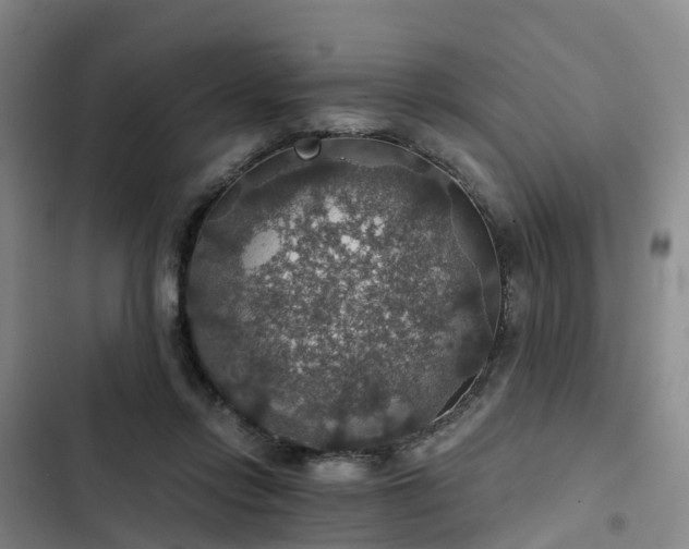 X0000102770358200808251058