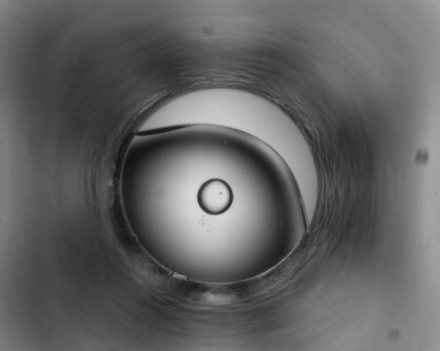 X0000102770360200808251058