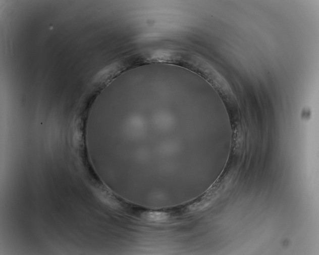 X0000102770361200808251058