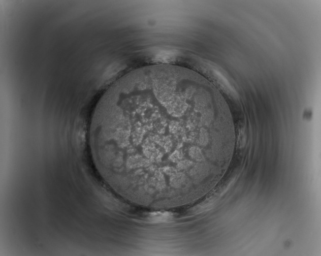 X0000102770363200808251058