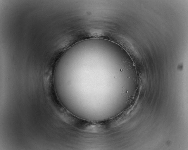 X0000102770364200808251058