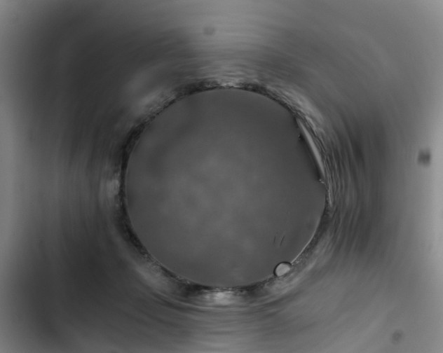 X0000102770365200808251058