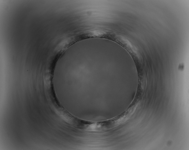 X0000102770366200808251058