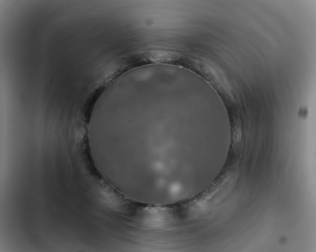 X0000102770367200808251058