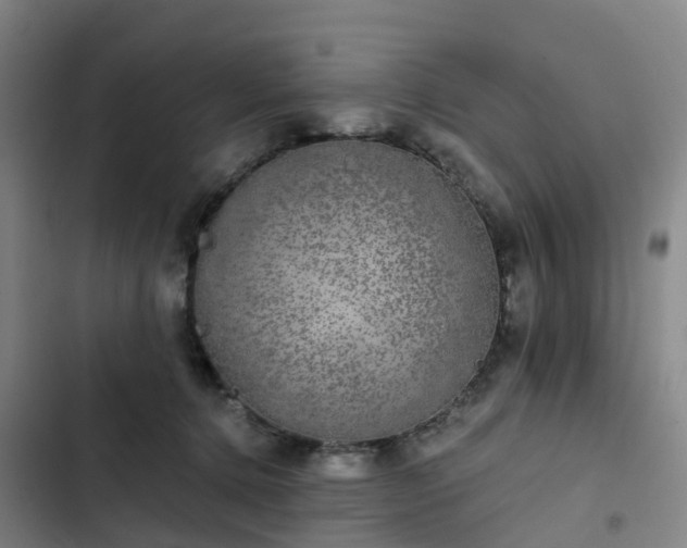 X0000102770368200808251058