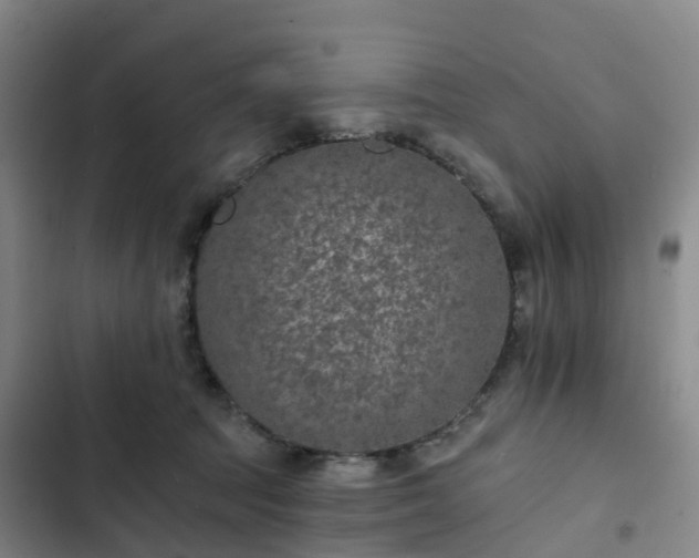 X0000102770369200808251058