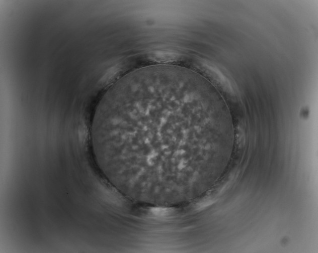 X0000102770371200808251058