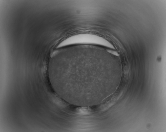 X0000102770372200808251058