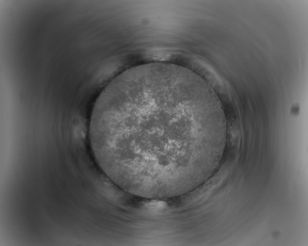 X0000102770374200808251058