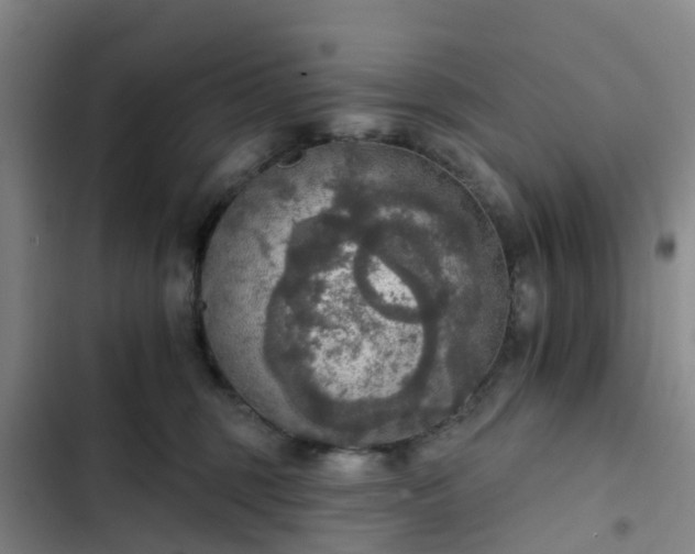 X0000102770375200808251058