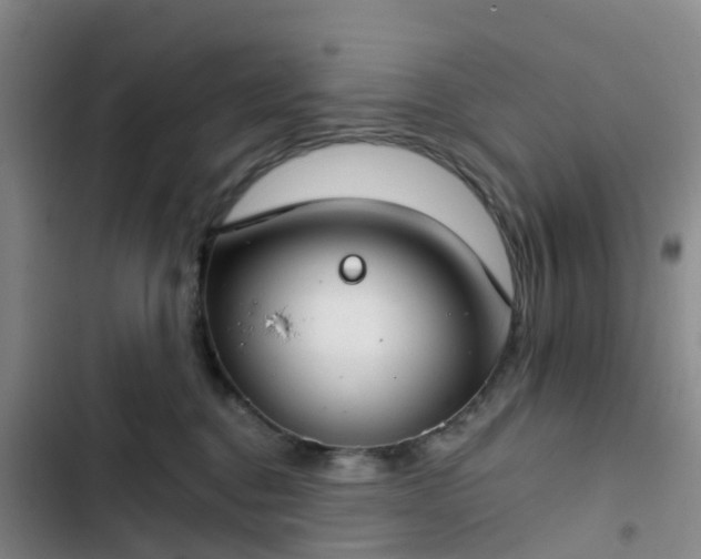 X0000102770376200808251058