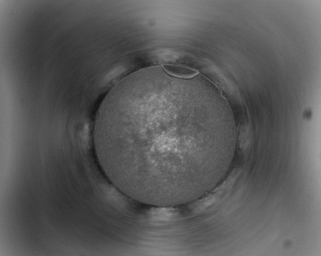 X0000102770378200808251058