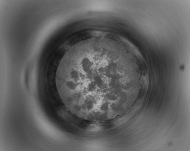 X0000102770381200808251058