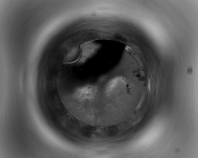 X0000102770383200808251058