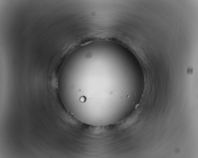 X0000102770384200808251058