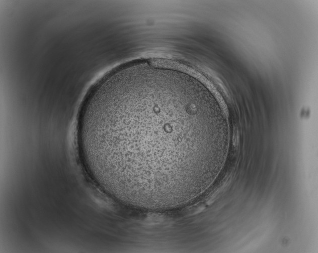 X0000102770388200808251057