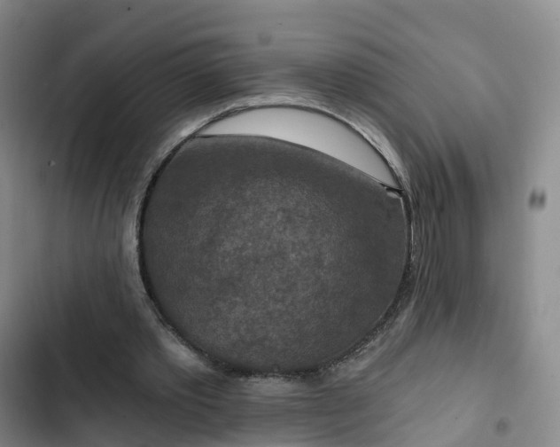 X0000102770389200808251057