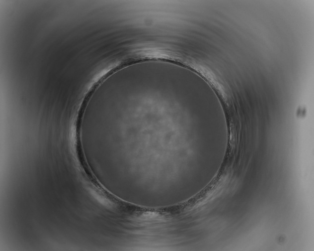 X0000102770390200808251057