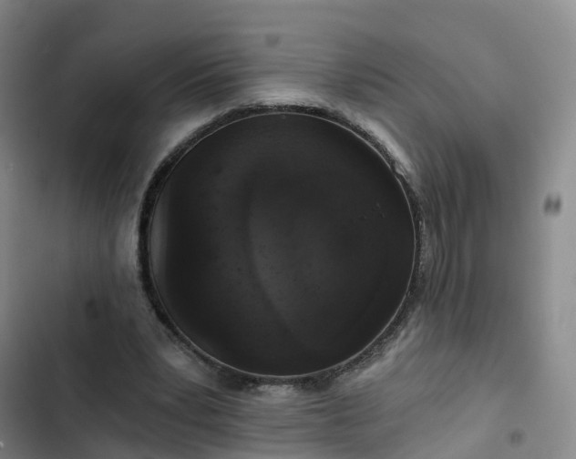 X0000102770391200808251057