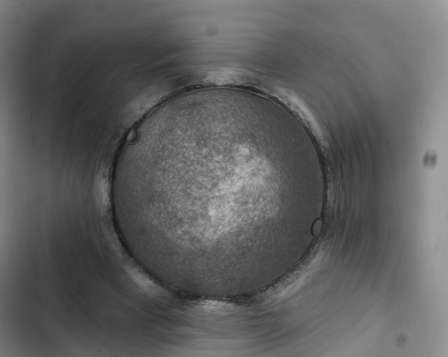 X0000102770393200808251057