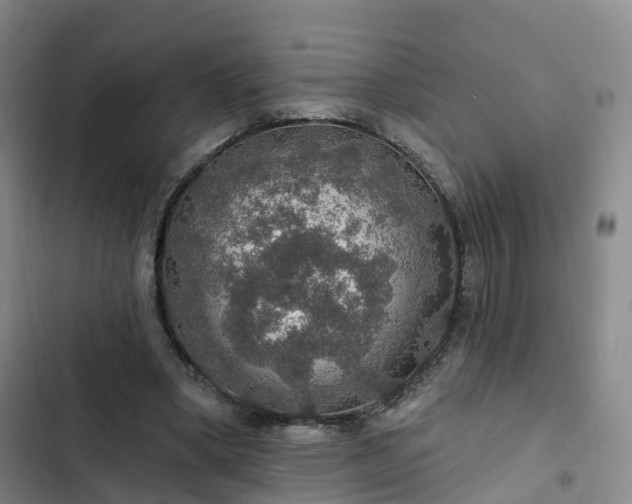 X0000102770394200808251057