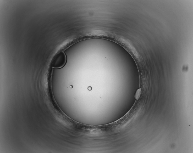 X0000102770395200808251057