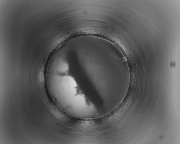 X0000102770398200808251057