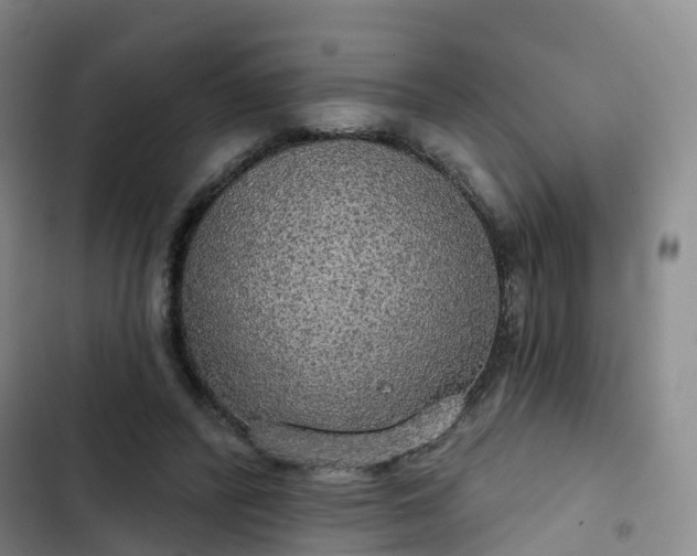 X0000102770400200808251057